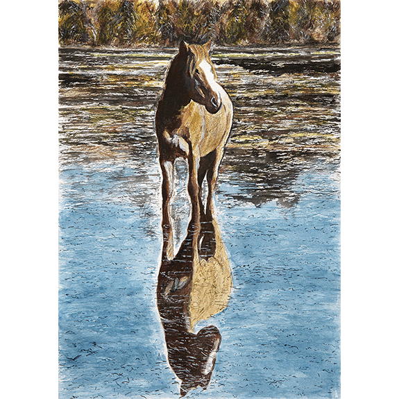 Salt River Roan - Print