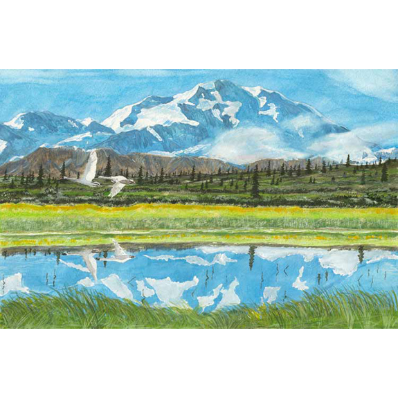 Denali Swans