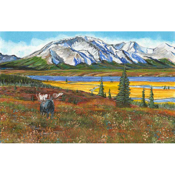 Flying the Tanana River