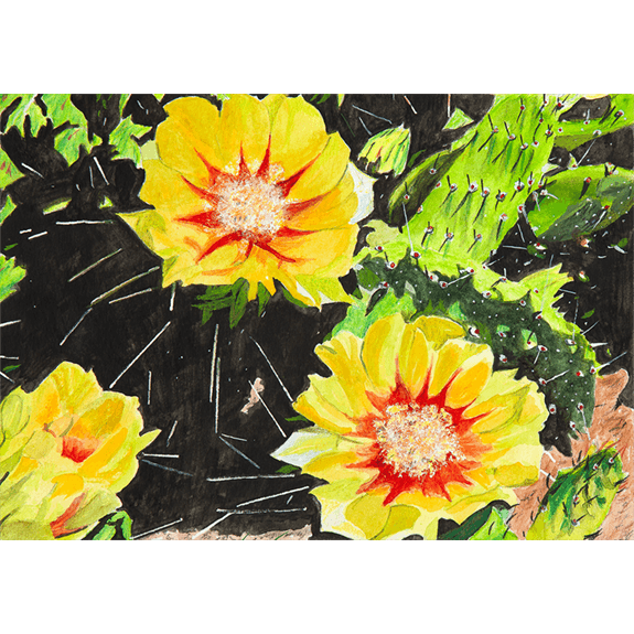 Flowering Prickly Pear