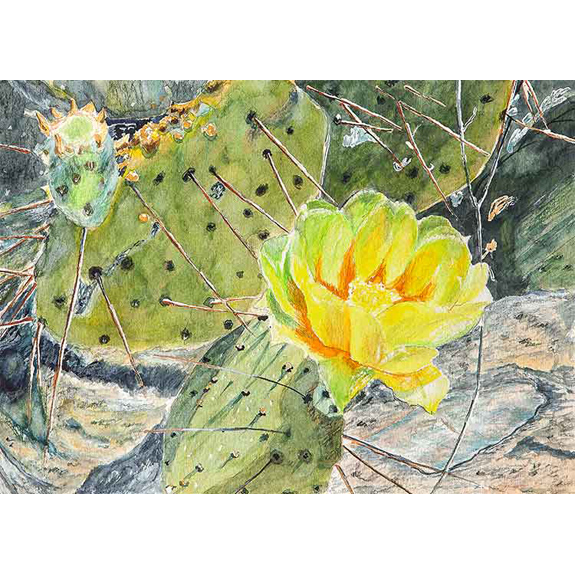 Prickly Pear Clovis Point